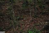 4509 Sr 18 Highway - Photo 8