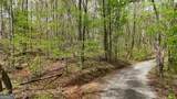 0 Shenandoah Drive - Photo 1