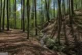 0 Davis Road - Photo 4