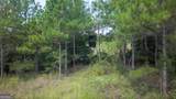 0 Buck Creek Bypass - Photo 19