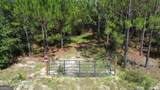 TRACT 1 Penny Morris Road - Photo 3