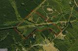 47 ACRES Cochran Road - Photo 19