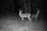 47 ACRES Cochran Road - Photo 20