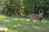 47 ACRES Cochran Road - Photo 21