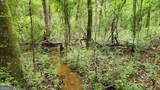 143 Highway 341 - Photo 3