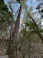 195 County Line Road - Photo 37