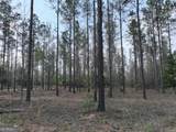 195 County Line Road - Photo 46