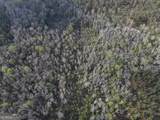 195 County Line Road - Photo 47