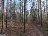 195 County Line Road - Photo 63