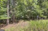 1298 Radio Springs Road - Photo 13