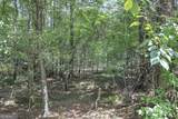 1298 Radio Springs Road - Photo 15