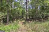 1298 Radio Springs Road - Photo 16