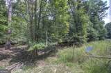 1298 Radio Springs Road - Photo 8