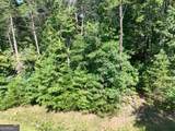 142R Autumn Fern Lane - Photo 32