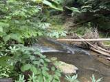 0 Yahoola Indian Trail - Photo 12