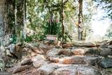 3288 King Hall Mill Road - Photo 42