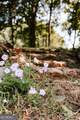 3288 King Hall Mill Road - Photo 44
