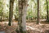3288 King Hall Mill Road - Photo 55