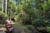 349 Whitewater Trail - Photo 33