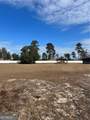 6911 Shellman Bluff Road - Photo 3