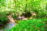 0 White Road - Photo 17
