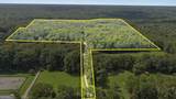 38.682 ACRES Btwn 446 & 478 Rising Star Road - Photo 1