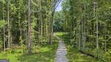 38.682 ACRES Btwn 446 & 478 Rising Star Road - Photo 13