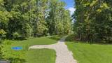38.682 ACRES Btwn 446 & 478 Rising Star Road - Photo 14
