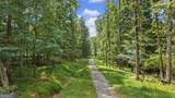 38.682 ACRES Btwn 446 & 478 Rising Star Road - Photo 2