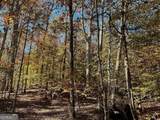 17.86AC Pine Ridge Drive - Photo 11