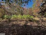 17.86AC Pine Ridge Drive - Photo 5