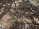 17.86AC Pine Ridge Drive - Photo 6