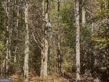 17.86AC Pine Ridge Drive - Photo 7