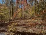 17.86AC Pine Ridge Drive - Photo 8
