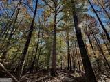 17.86AC Pine Ridge Drive - Photo 9