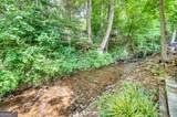216 Bear Bend - Photo 3