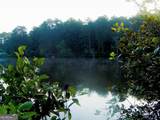 112 Peach Circle - Photo 7