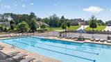 2513 Lily Lane - Photo 45