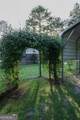 245 Brittingham Road - Photo 37