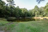 245 Brittingham Road - Photo 41