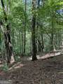 1707 Rebekah Ridge Road - Photo 3