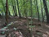 1707 Rebekah Ridge Road - Photo 6