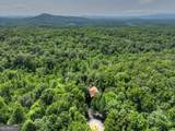 104 Gibbs Trail - Photo 13