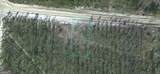 LOT 14 Satilla Plantation - Photo 1