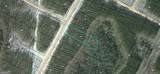 92 Satilla Plantation - Photo 1