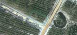 LOT 172 Satilla Plantation - Photo 1