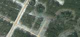 LOT 133 Satilla Plantation - Photo 1