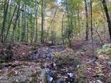 0 Lone Bear Path - Photo 2