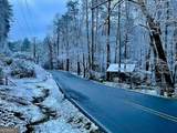 254 Leatherwood Mountain Road - Photo 91