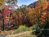 LOT 46 Utana Bluffs Trail - Photo 10
